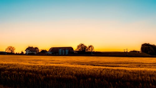 【熱門】高中周記青春勵(lì)志四篇