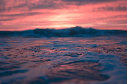 高一語(yǔ)文文言文《勸學(xué)》翻譯