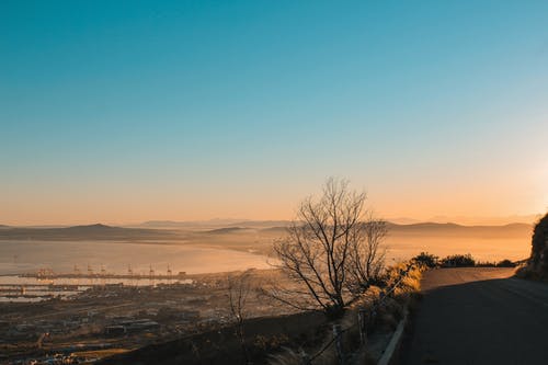 爽文帝皇狂婿小說陳玄應(yīng)南霜無刪減閱讀