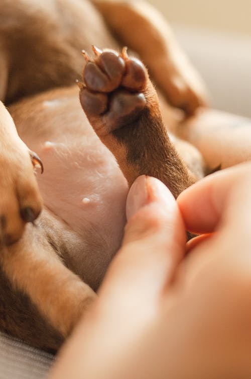 新生代學(xué)生勵(lì)志語出爐