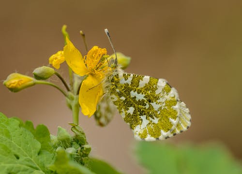 民間禁忌水深勿近小說肖不凡劉老六章節(jié)閱讀