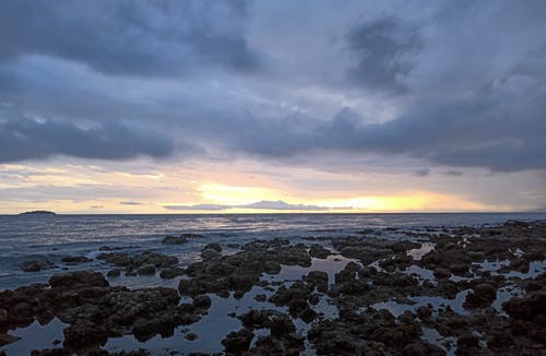 能在最美的雪景里遇見你心情隨筆