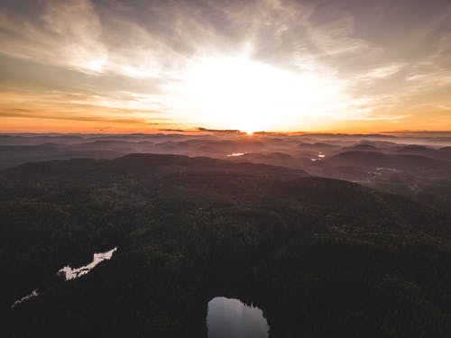 螳螂捕蟬文言文翻譯 螳螂捕蟬文言文翻譯