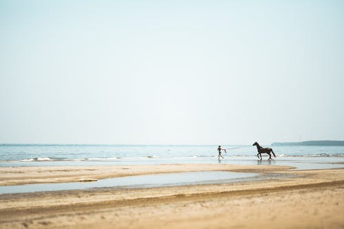結婚的祝福語句