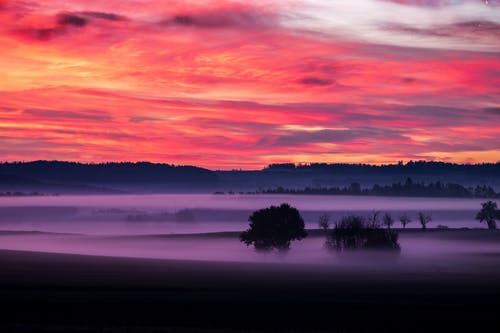 家鄉(xiāng)抒情散文 家鄉(xiāng)抒情散文