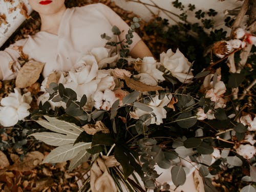 《水形物語(yǔ)》影評(píng)100字