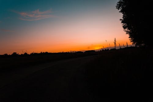 表達(dá)夏至快樂(lè)的祝福語(yǔ)大合集45條 表達(dá)夏至快樂(lè)的祝福語(yǔ)大合集45條