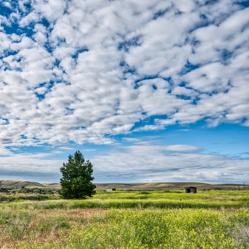 友誼如花，清香漫灑