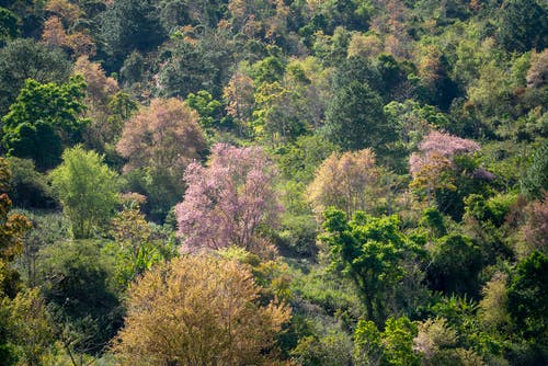 致青春的經(jīng)典臺詞