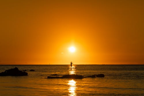 《中夜起望西園值月上》譯文及鑒賞 《中夜起望西園值月上》譯文及鑒賞