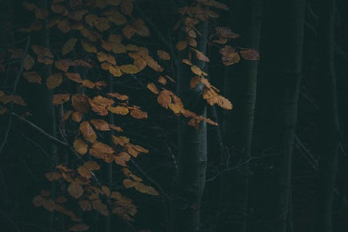 華與華方法讀后感摘抄 華與華方法讀后感摘抄