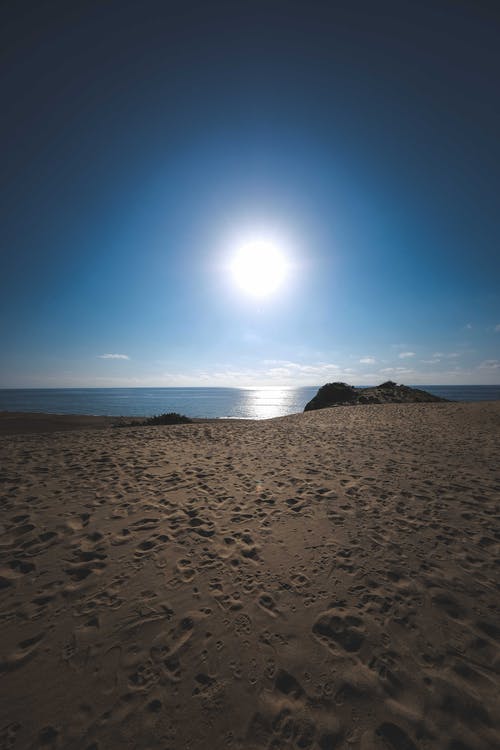 寫作基礎(chǔ)：寫好想象作文