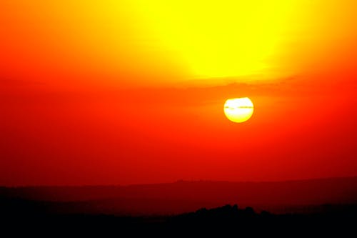 【精選】小學(xué)日記范文錦集八篇 【精選】小學(xué)日記范文錦集八篇