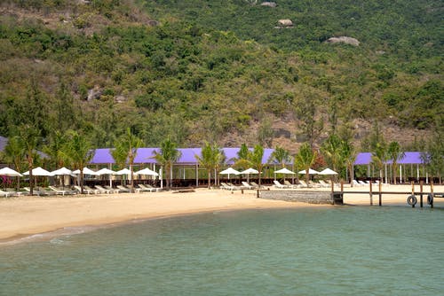 紅五月的詩歌朗誦稿3篇 紅五月的詩歌朗誦稿3篇