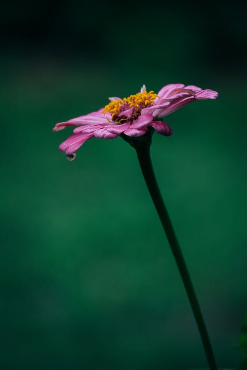 2020年給朋友的復活節(jié)祝福語大匯總27條 2020年給朋友的復活節(jié)祝福語大匯總27條