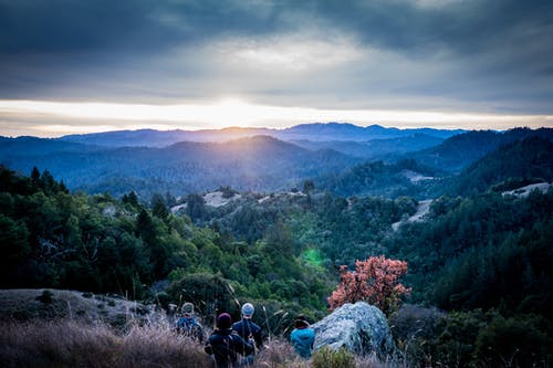 初中寒假日記450字