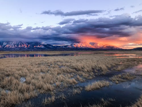 長(zhǎng)輩生日祝福語最新 長(zhǎng)輩生日祝福語最新
