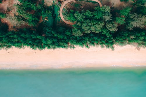 有關(guān)寫(xiě)給病人的祝福語(yǔ) 有關(guān)寫(xiě)給病人的祝福語(yǔ)