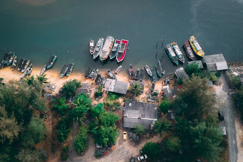 初中生寒假日記250字 初中生寒假日記250字