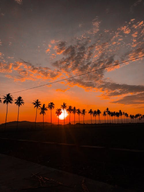 關(guān)于高中周記青春勵(lì)志集合九篇 關(guān)于高中周記青春勵(lì)志集合九篇