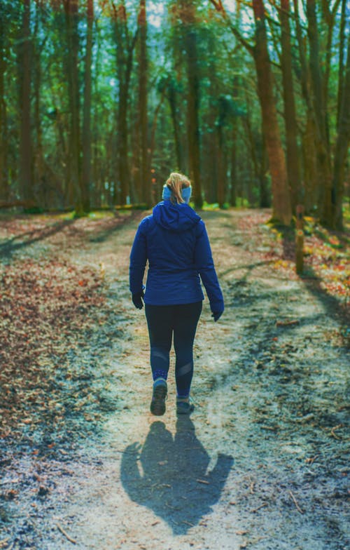 文言文《勸學(xué)》鑒賞 文言文《勸學(xué)》鑒賞