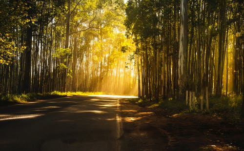 愛似水中月小說顧珈于錫東莫北無錯版閱讀 愛似水中月小說顧珈于錫東莫北無錯版閱讀