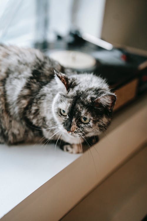 玄幻我真不是高人小說主角蘇漠全章節(jié)閱讀 玄幻我真不是高人小說主角蘇漠全章節(jié)閱讀