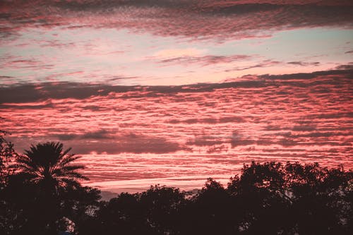 【熱門】二年級日記范文集合10篇 【熱門】二年級日記范文集合10篇