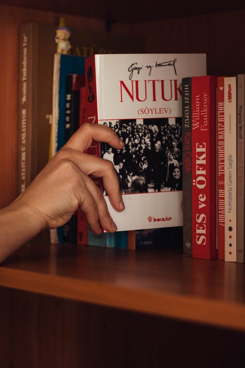 寵文丹醫(yī)世無雙小說水墨青蕭漠塵搶先閱讀