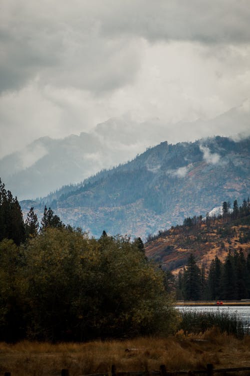 2020年春節(jié)快樂的祝福語大合集56句 2020年春節(jié)快樂的祝福語大合集56句