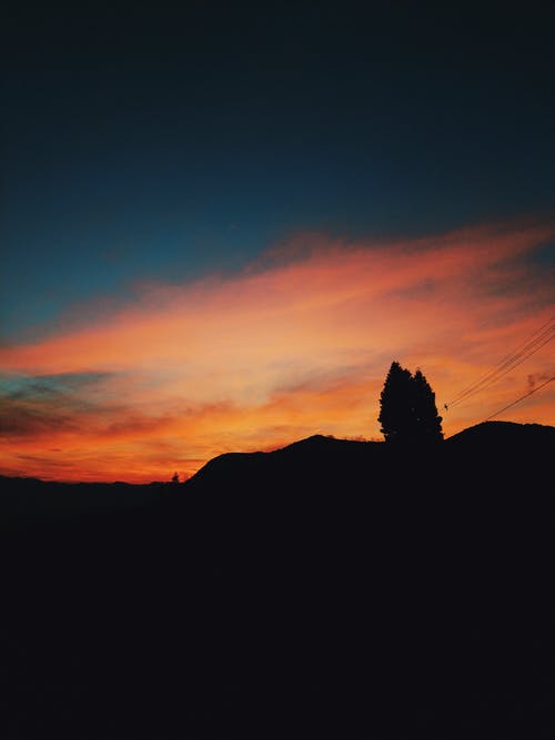 五年級想象作文病毒自述 五年級想象作文病毒自述