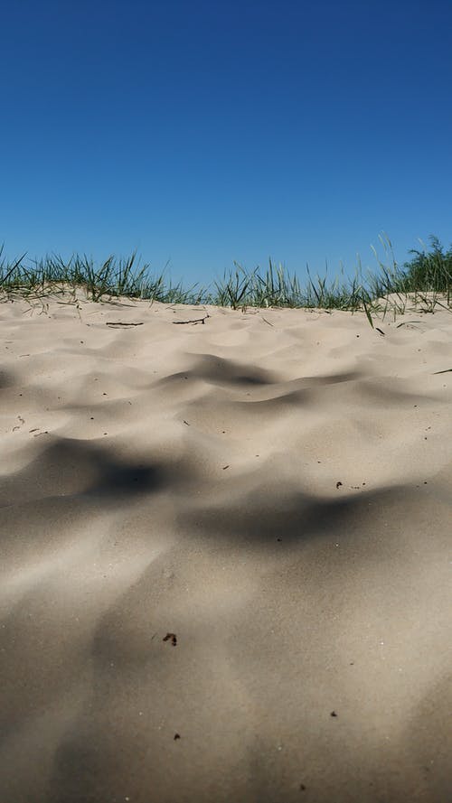 青春夢(mèng)想隨筆600字