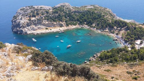 五年級狀物作文信鴿