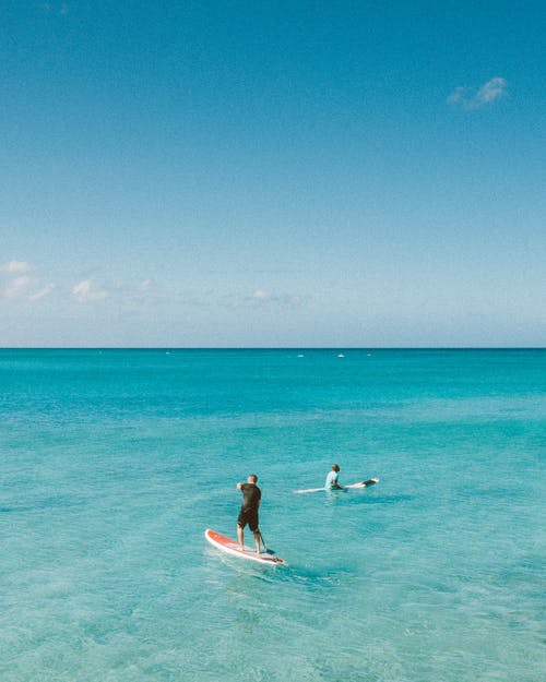 精選優(yōu)美文藝句子錦集75句