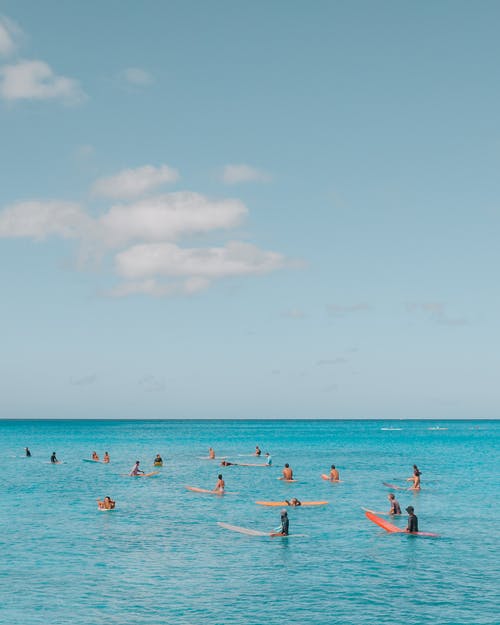 世間最為恐怖的武學(xué)小說(shuō)林凡尹陌辰無(wú)刪減閱讀