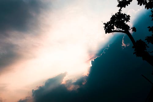 詩(shī)詞鑒賞二十二首 詩(shī)詞鑒賞二十二首