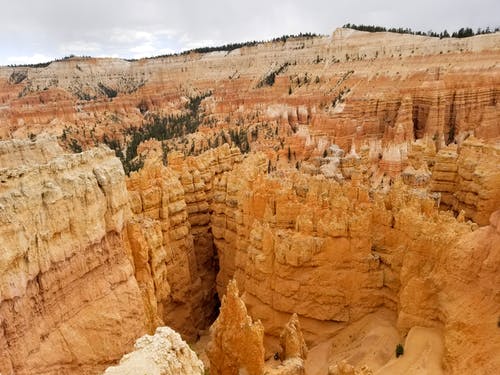 現(xiàn)代詩歌：自然的美，讓我們共同保護