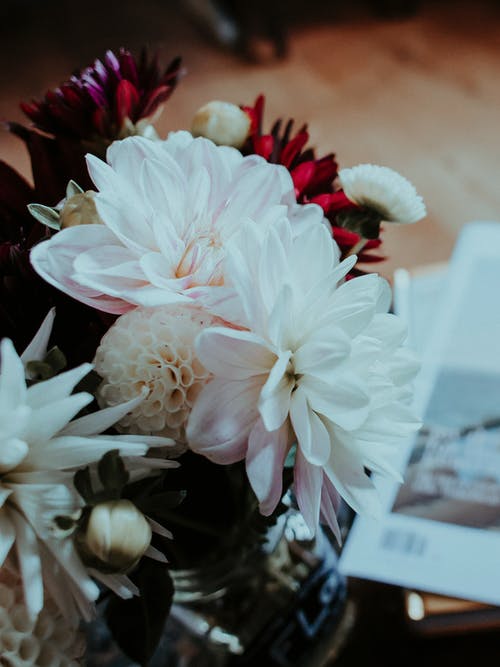 《天凈沙·夏》翻譯賞析 《天凈沙·夏》翻譯賞析