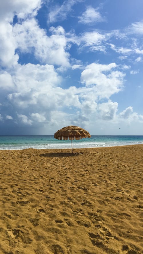 葛藟注釋鑒賞及譯文