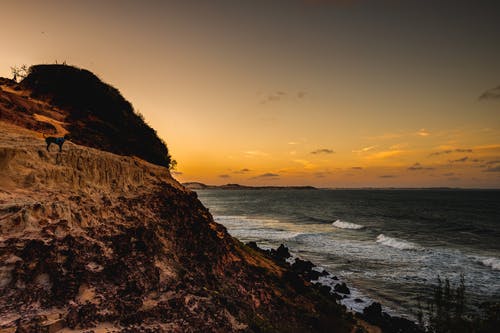 劉克莊《滿江紅·題范尉梅谷》詩詞鑒賞 劉克莊《滿江紅·題范尉梅谷》詩詞鑒賞