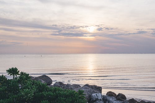 2020年有關(guān)母親節(jié)的詩歌 2020年有關(guān)母親節(jié)的詩歌