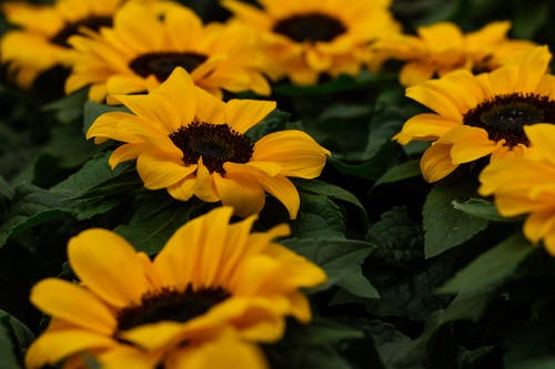 自考考場(chǎng)來(lái)了位勵(lì)志老奶奶 自考考場(chǎng)來(lái)了位勵(lì)志老奶奶