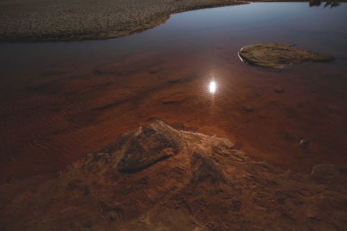 穿成白蓮花未婚妻的貓人氣小說喬語兮黎岳昊無廣告閱讀 穿成白蓮花未婚妻的貓人氣小說喬語兮黎岳昊無廣告閱讀