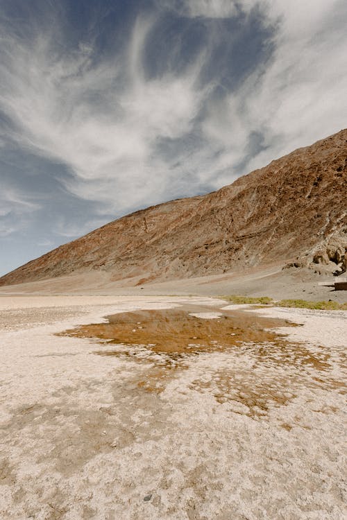 笑貓日記范文集合9篇