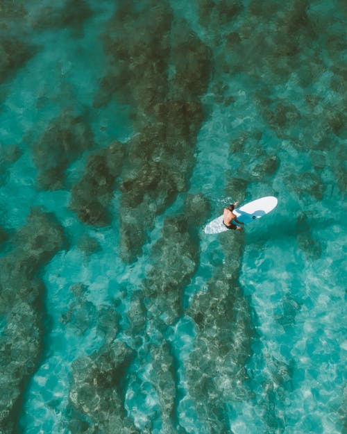 陸游的詩(shī)句 陸游的詩(shī)句