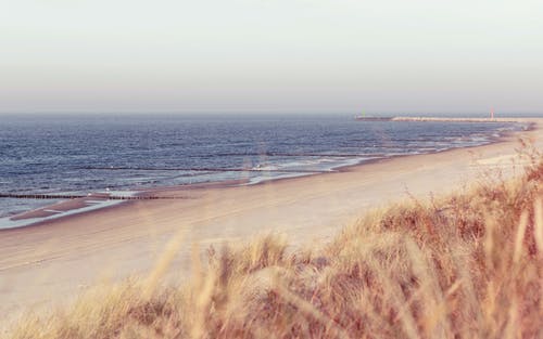 贊美母親的現(xiàn)代詩(shī)歌3首 贊美母親的現(xiàn)代詩(shī)歌3首