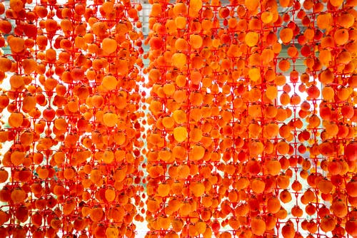 時空魅影小說連載中楊寒蘇雨晴目錄閱讀