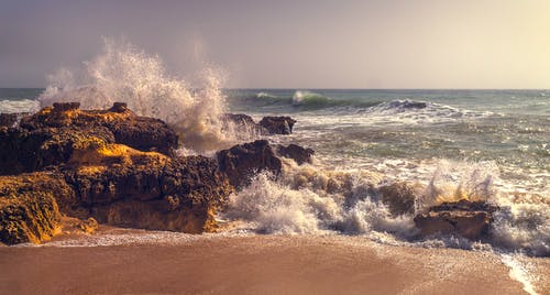 我的瘋狂逆襲人生小說連載中宋哲李冉無彈窗閱讀 我的瘋狂逆襲人生小說連載中宋哲李冉無彈窗閱讀
