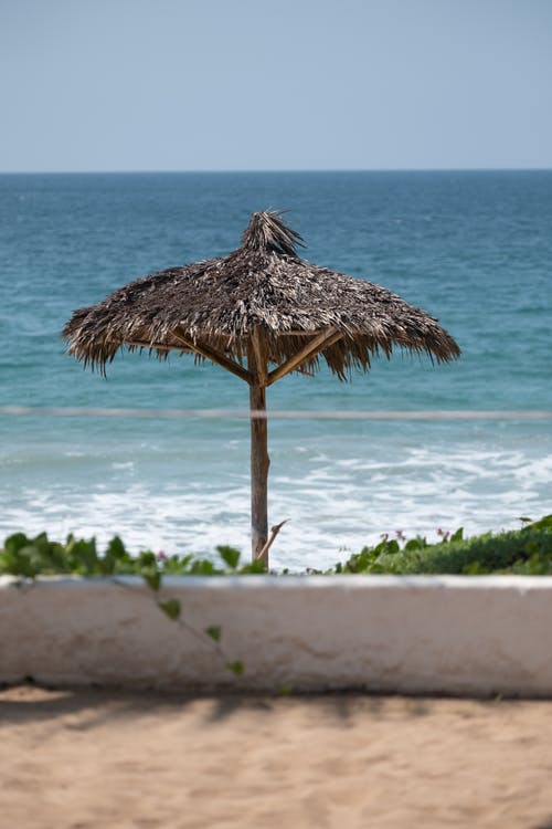 觀《一個(gè)獨(dú)生女的故事》有感 觀《一個(gè)獨(dú)生女的故事》有感