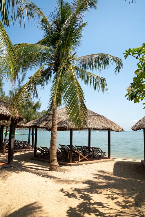 感恩節(jié)祝福語老師篇